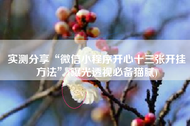 实测分享“微信小程序开心十三张开挂方法”(曝光透视必备猫腻)