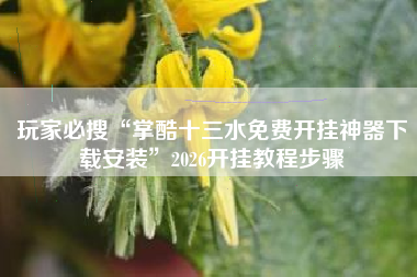 玩家必搜“掌酷十三水免费开挂神器下载安装”2026开挂教程步骤