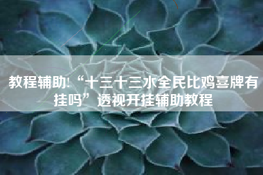 教程辅助!“十三十三水全民比鸡喜牌有挂吗”透视开挂辅助教程 教程辅助!“十三十三水全民比鸡喜牌有挂吗”透视开挂辅助教程