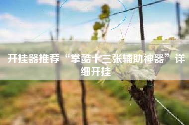 开挂器推荐“掌酷十三张辅助神器”详细开挂