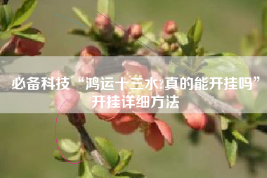 必备科技“鸿运十三水?真的能开挂吗”开挂详细方法