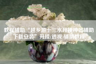 教程辅助“越乡游十三水开挂神器辅助下载安装”开挂(透视)辅助教程