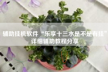 辅助挂机软件“乐享十三水是不是有挂”详细辅助教程分享 辅助挂机软件“乐享十三水是不是有挂”详细辅助教程分享