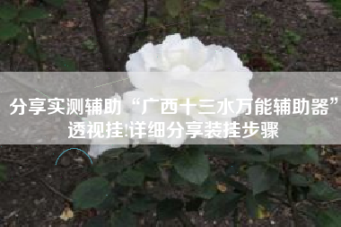 分享实测辅助“广西十三水万能辅助器”透视挂!详细分享装挂步骤 分享实测辅助“广西十三水万能辅助器”透视挂!详细分享装挂步骤