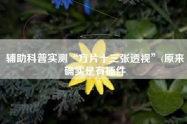 辅助科普实测“方片十三张透视”(原来确实是有插件
