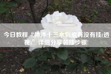今日教程“沐沐十三水到底有没有挂(透视)”详细分享装挂步骤!