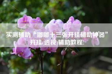 实测辅助“嘟嘟十三张开挂辅助神器”开挂(透视)辅助教程! 实测辅助“嘟嘟十三张开挂辅助神器”开挂(透视)辅助教程!