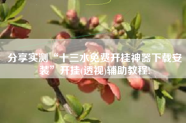 分享实测“十三水免费开挂神器下载安装”开挂(透视)辅助教程!