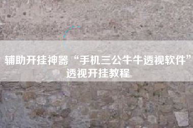 辅助开挂神器“手机三公牛牛透视软件”透视开挂教程