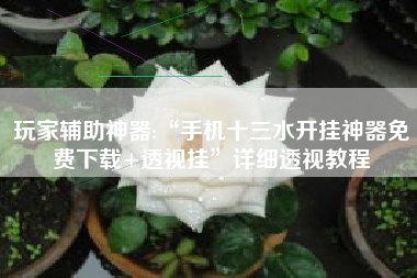 玩家辅助神器:“手机十三水开挂神器免费下载+透视挂”详细透视教程