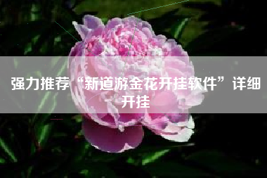 强力推荐“新道游金花开挂软件”详细开挂 强力推荐“新道游金花开挂软件”详细开挂