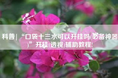 科普|“口袋十三水可以开挂吗(必备神器)”开挂(透视)辅助教程! 科普|“口袋十三水可以开挂吗(必备神器)”开挂(透视)辅助教程!