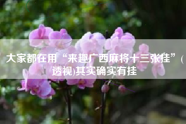 大家都在用“来趣广西麻将十三张挂”(透视)其实确实有挂