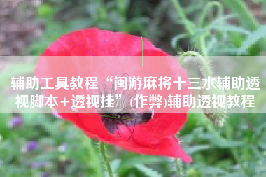 辅助工具教程“闽游麻将十三水辅助透视脚本+透视挂”(作弊)辅助透视教程