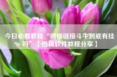 今日必看教程“微信链接斗牛到底有挂吗”【透视软件教程分享】