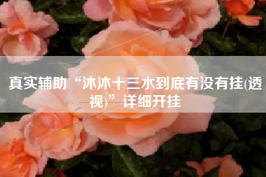 真实辅助“沐沐十三水到底有没有挂(透视)”详细开挂