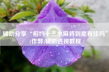 辅助分享“相约十三水麻将到底有挂吗”(作弊)辅助透视教程