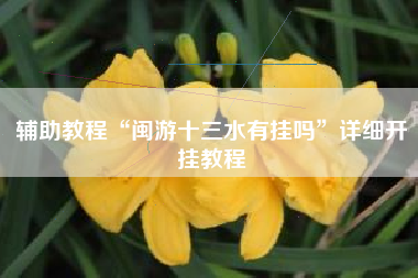 辅助教程“闽游十三水有挂吗”详细开挂教程