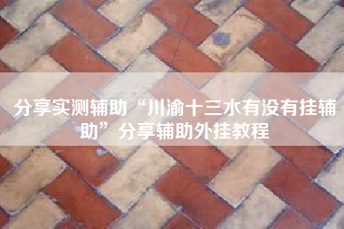 分享实测辅助“川渝十三水有没有挂辅助”分享辅助外挂教程