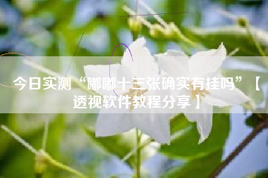 今日实测“嘟嘟十三张确实有挂吗”【透视软件教程分享】 今日实测“嘟嘟十三张确实有挂吗”【透视软件教程分享】