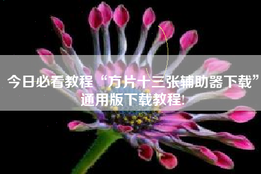 今日必看教程“方片十三张辅助器下载”通用版下载教程!