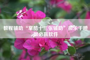 教程辅助“掌酷十三张辅助”微乐干瞪眼必赢软件 教程辅助“掌酷十三张辅助”微乐干瞪眼必赢软件