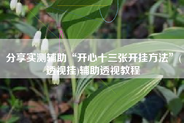 分享实测辅助“开心十三张开挂方法”(透视挂)辅助透视教程