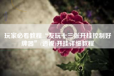 玩家必看教程“友玩十三张开挂控制好牌器”(透视)开挂详细教程