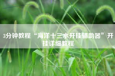 3分钟教程“海洋十三水开挂辅助器”开挂详细教程