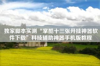 独家脚本实测“掌酷十三张开挂神器软件下载”科技辅助神器手机版教程