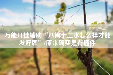 万能开挂辅助“八闽十三水怎么样才能发好牌”(原来确实是有插件 万能开挂辅助“八闽十三水怎么样才能发好牌”(原来确实是有插件