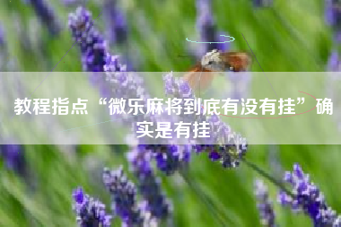 教程指点“微乐麻将到底有没有挂”确实是有挂