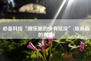 必备科技“微乐跑的快有挂没”(原来真的有挂) 必备科技“微乐跑的快有挂没”(原来真的有挂)