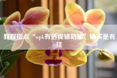 教程指点“wpk有透视辅助嘛”确实是有挂