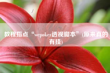 教程指点“wepoker透视脚本”(原来真的有挂)