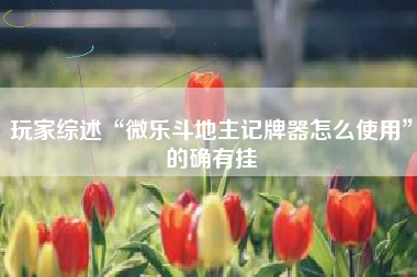 玩家综述“微乐斗地主记牌器怎么使用”的确有挂