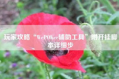 玩家攻略“WePOKer辅助工具”附开挂脚本详细步 玩家攻略“WePOKer辅助工具”附开挂脚本详细步