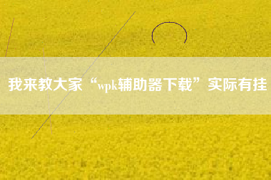 我来教大家“wpk辅助器下载”实际有挂 我来教大家“wpk辅助器下载”实际有挂