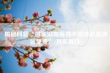 揭秘科普“微乐湖南麻将小程序必赢神器免费”(其实有挂)