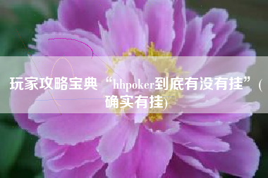 玩家攻略宝典“hhpoker到底有没有挂”(确实有挂)