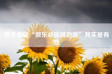 终于呈现“微乐必赢辅助器”其实是有挂