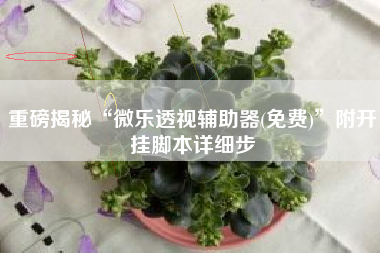 重磅揭秘“微乐透视辅助器(免费)”附开挂脚本详细步