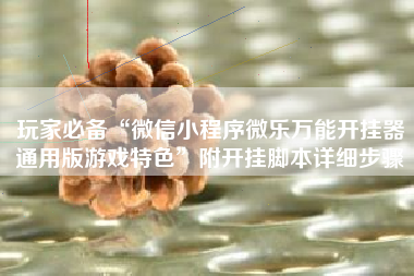 玩家必备“微信小程序微乐万能开挂器通用版游戏特色”附开挂脚本详细步骤