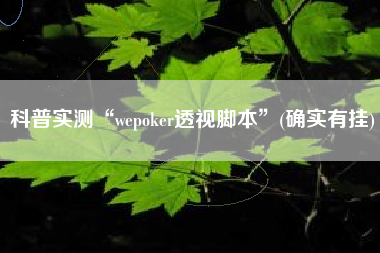 科普实测“wepoker透视脚本”(确实有挂) 科普实测“wepoker透视脚本”(确实有挂)