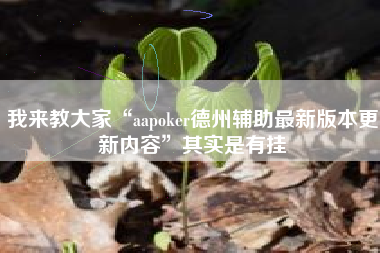 我来教大家“aapoker德州辅助最新版本更新内容”其实是有挂 我来教大家“aapoker德州辅助最新版本更新内容”其实是有挂