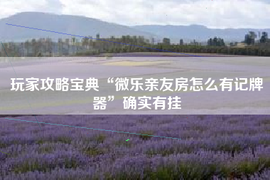 玩家攻略宝典“微乐亲友房怎么有记牌器”确实有挂