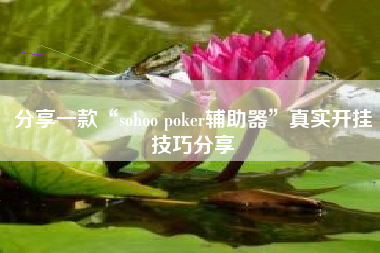 分享一款“sohoo poker辅助器”真实开挂技巧分享