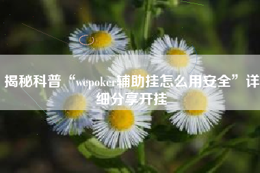 揭秘科普“wepoker辅助挂怎么用安全”详细分享开挂
