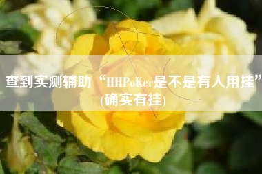 查到实测辅助“HHPoKer是不是有人用挂”(确实有挂) 查到实测辅助“HHPoKer是不是有人用挂”(确实有挂)