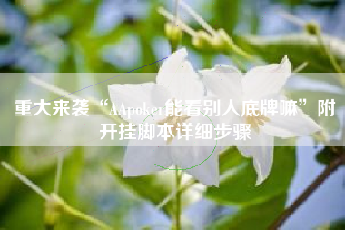 重大来袭“AApoker能看别人底牌嘛”附开挂脚本详细步骤